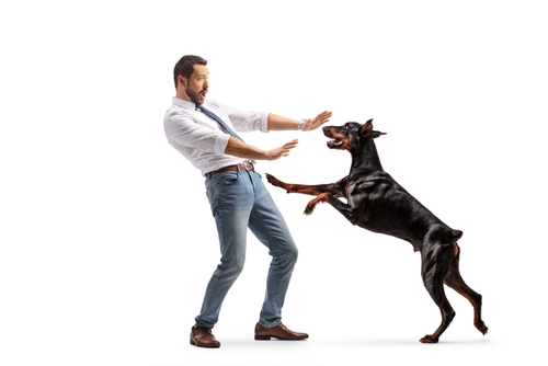 Are Dog Bite Cases on the Rise in Richland, Washington?